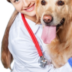 female veterinarian with dog transp